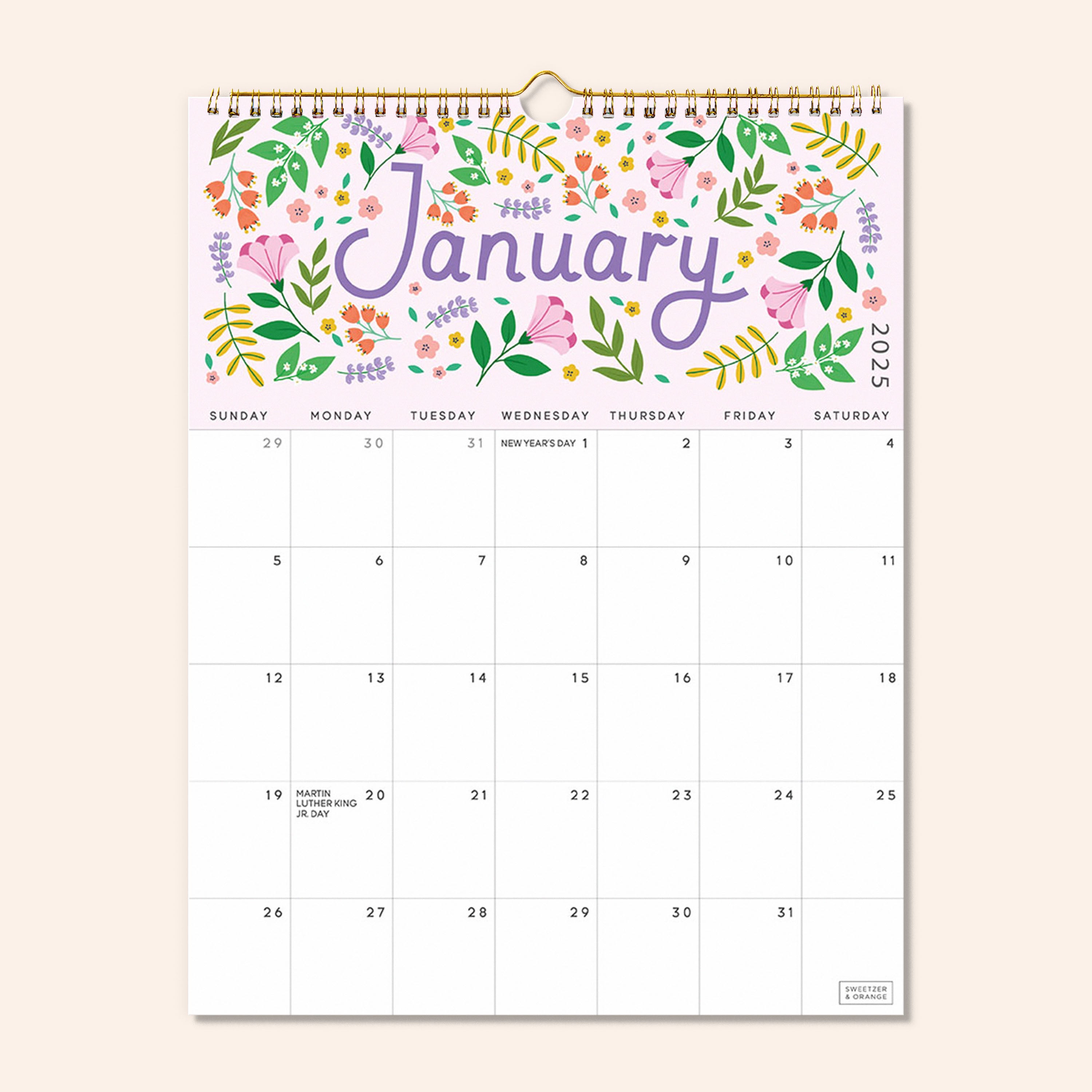 Five Color Wall Calendar Jan 2025 - June 2026